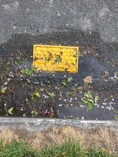 Water Leak, a report photo