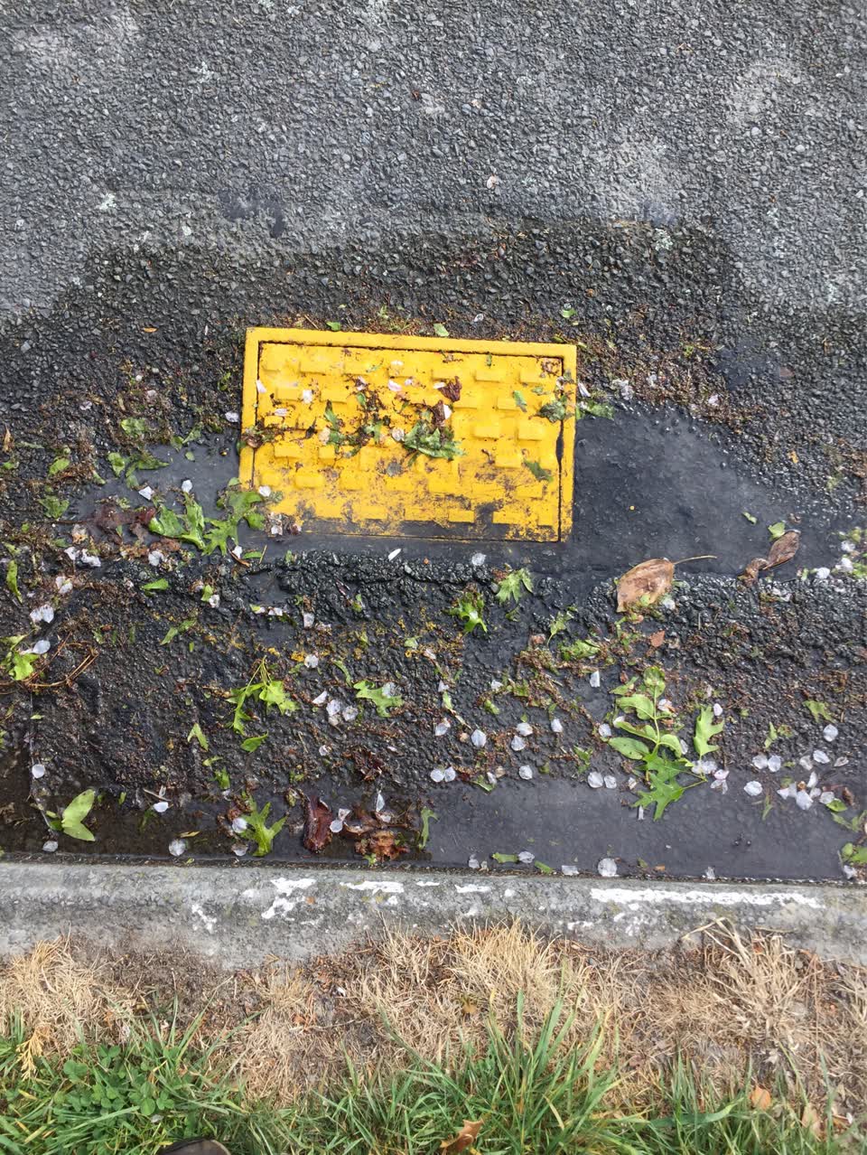 The photograph attached to this water leak report
