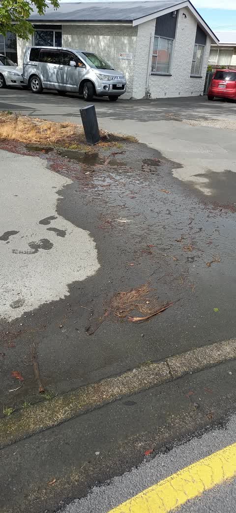 Water Leak, a report photo