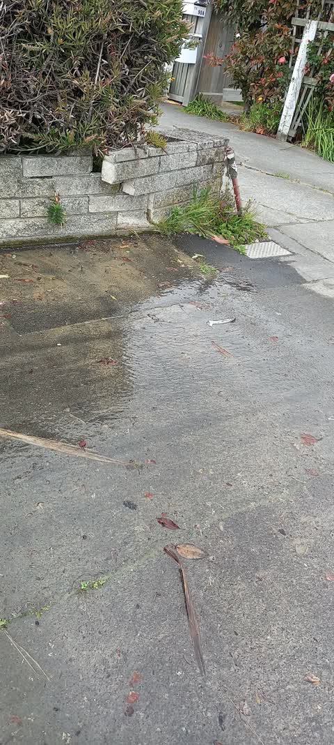 Water Leak, a report photo