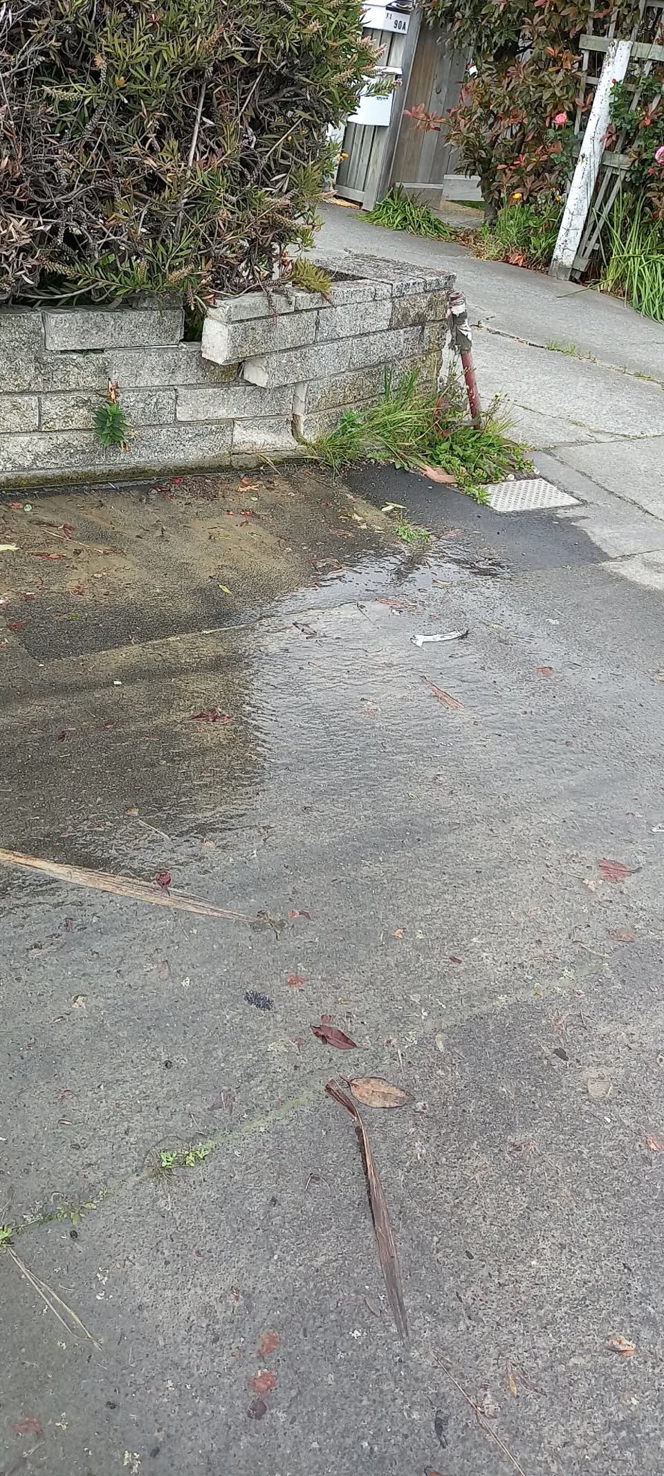 The photograph attached to this water leak report