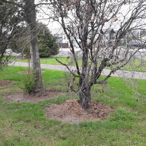 Parks, a report photo