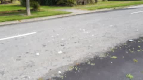 Litter, a report photo