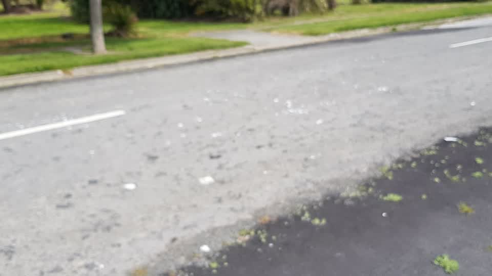The photograph attached to this litter report
