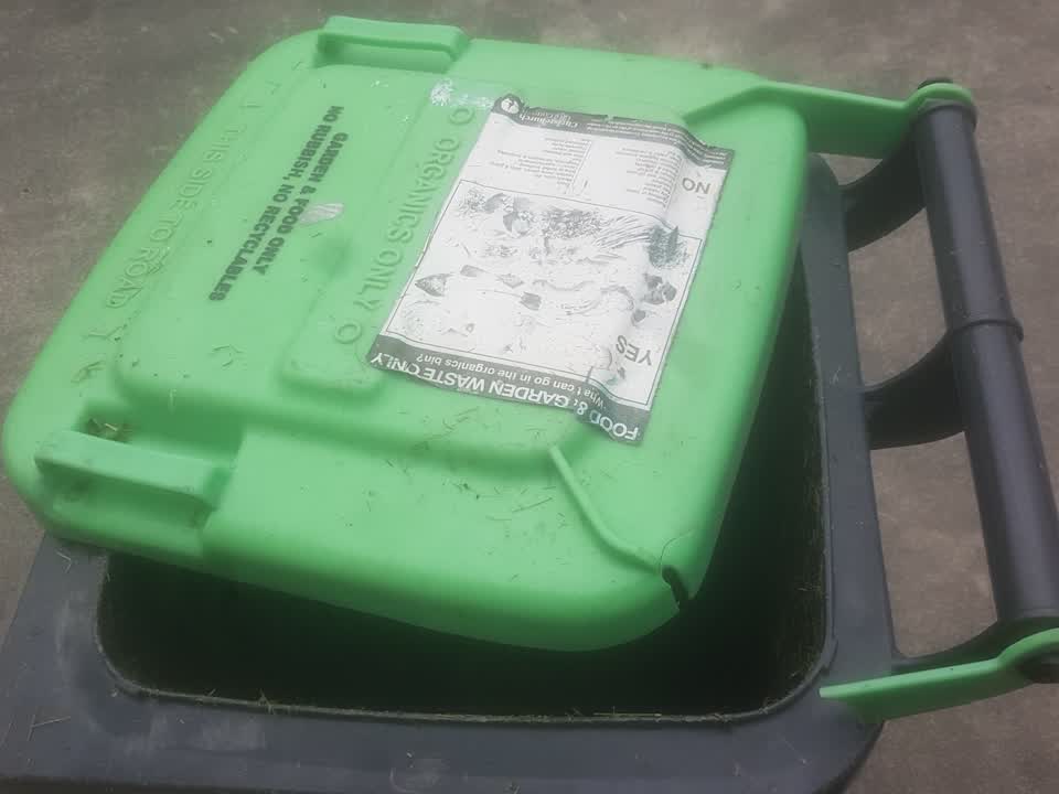 The photograph attached to this rubbish and bins - general report