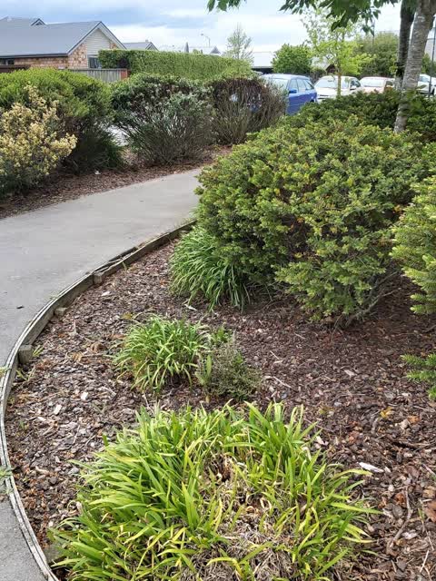 Facility - General Request, a report photo