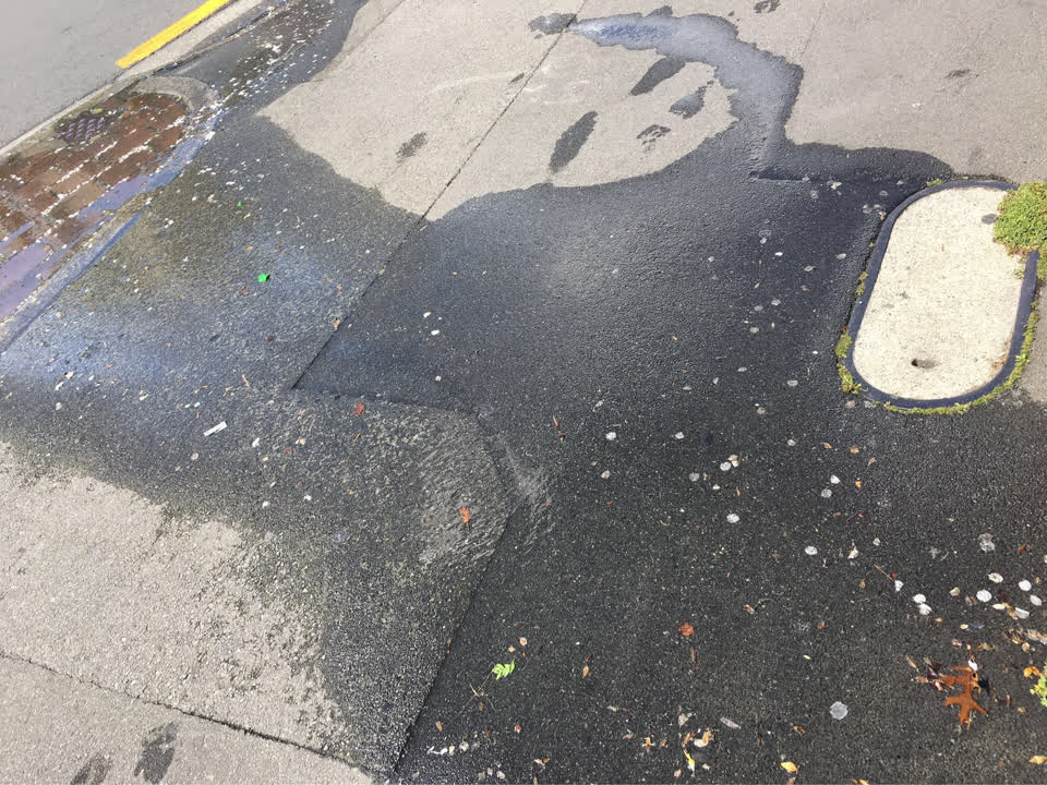 The photograph attached to this sewer - leak / blockage report