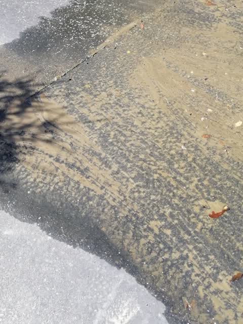 Sewer Odour, a report photo