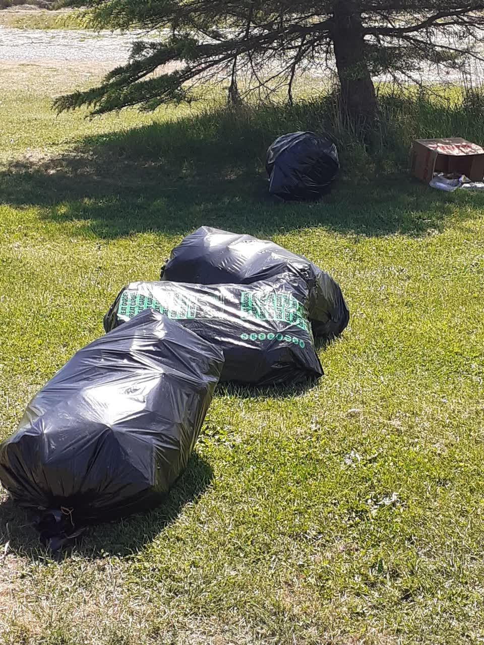The photograph attached to this dumped rubbish report