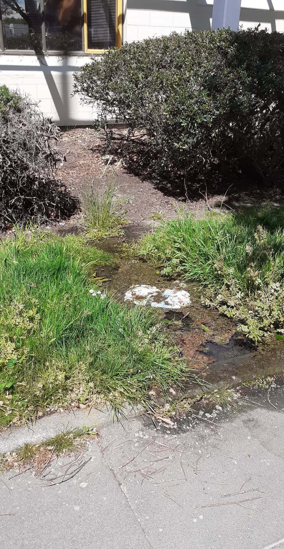 The photograph attached to this sewer - leak / blockage report