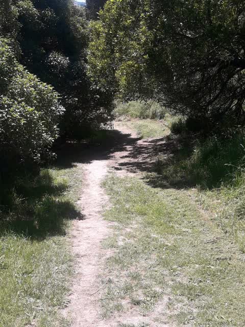 Parks, a report photo