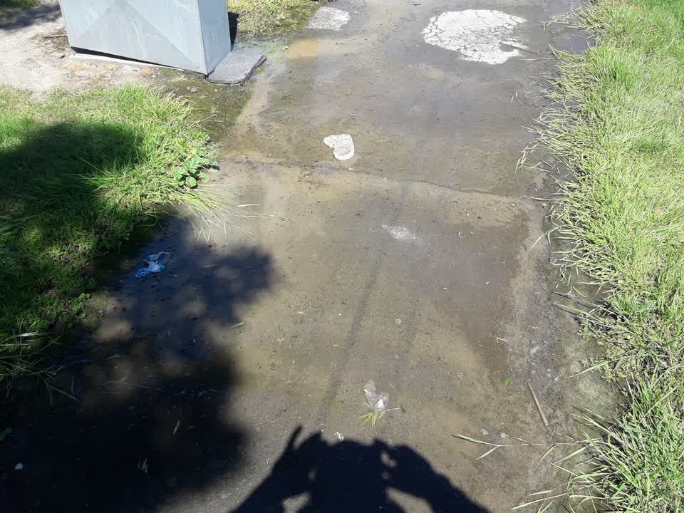 The photograph attached to this water leak report