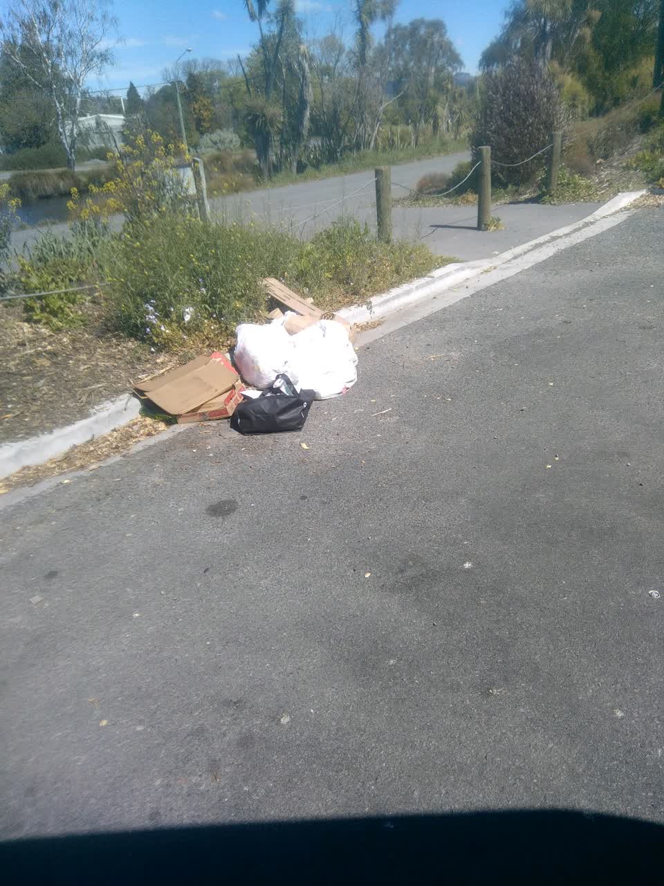 The photograph attached to this dumped rubbish report
