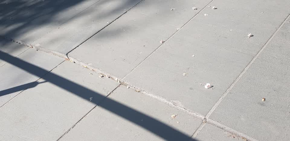 The photograph attached to this pavement - damaged report