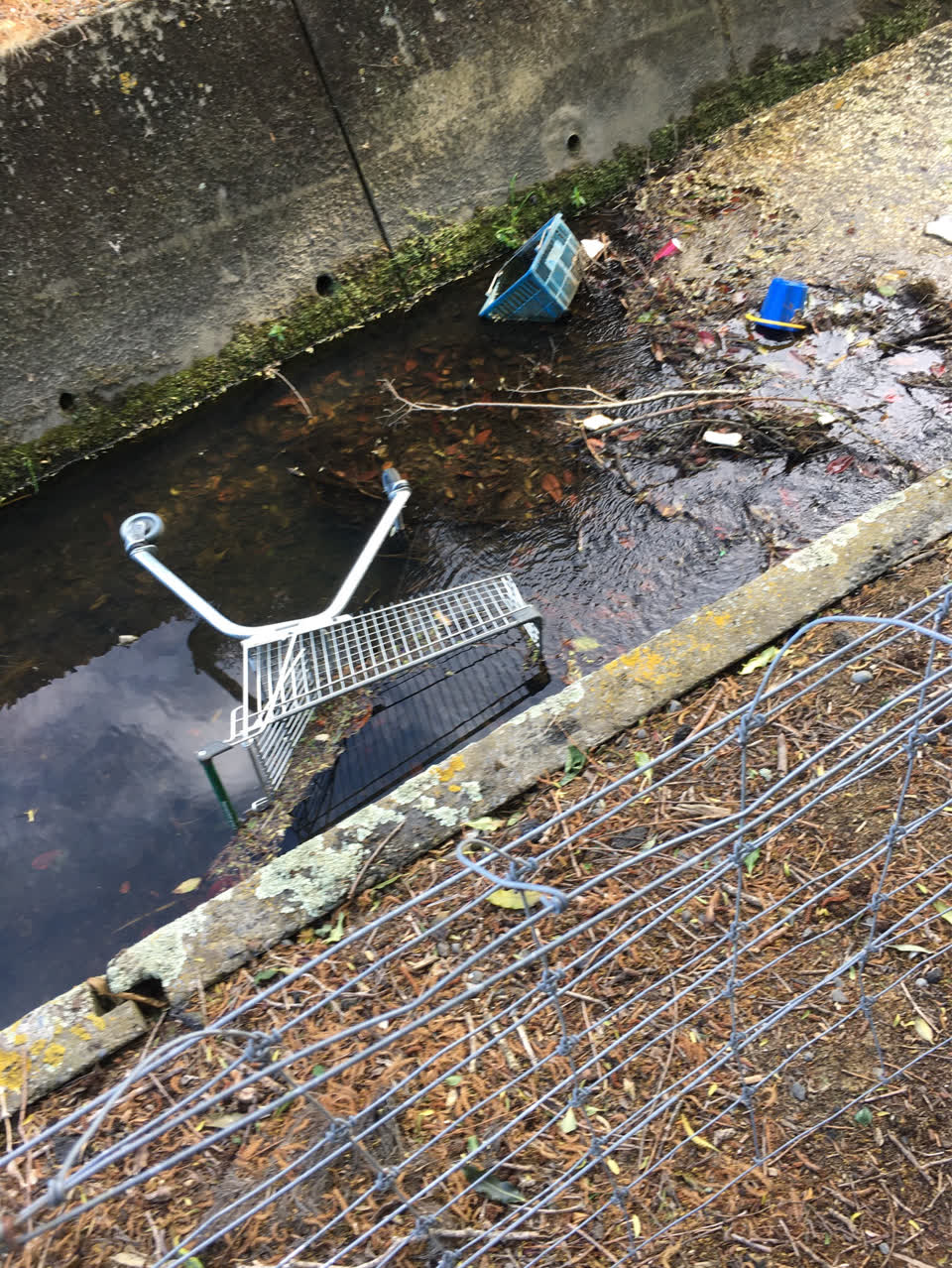The photograph attached to this general - abandoned trolley report