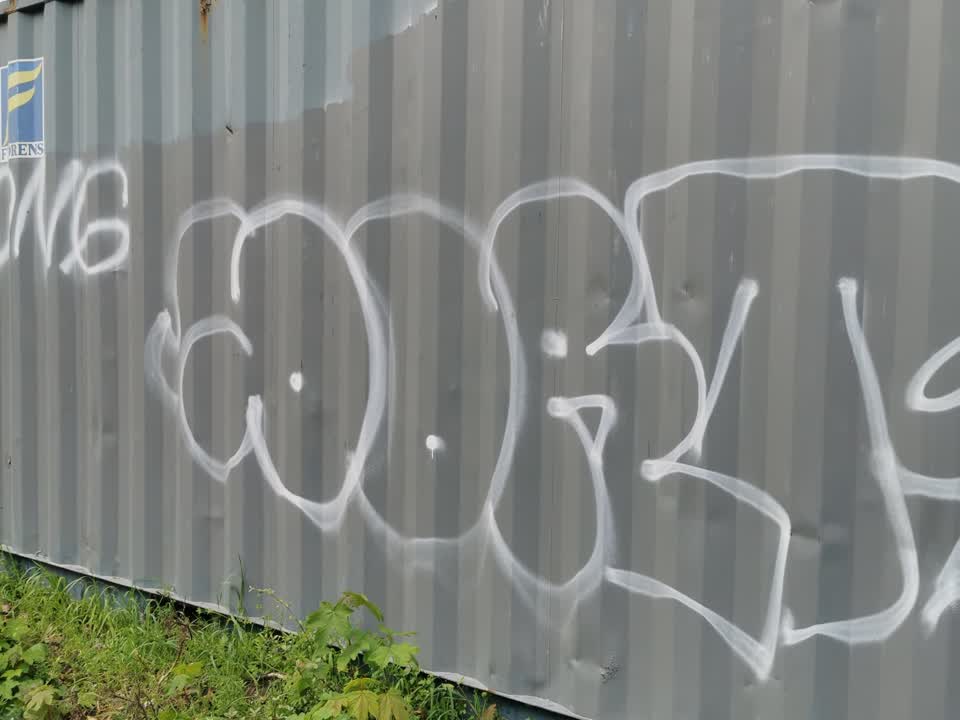 The photograph attached to this graffiti report