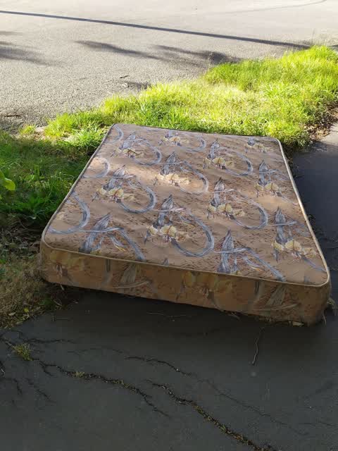 Dumped Rubbish, a report photo