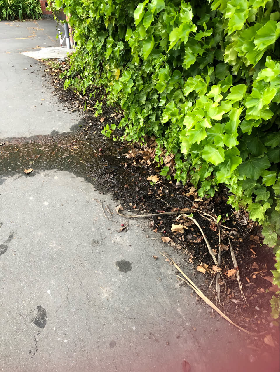 The photograph attached to this pavement - general report
