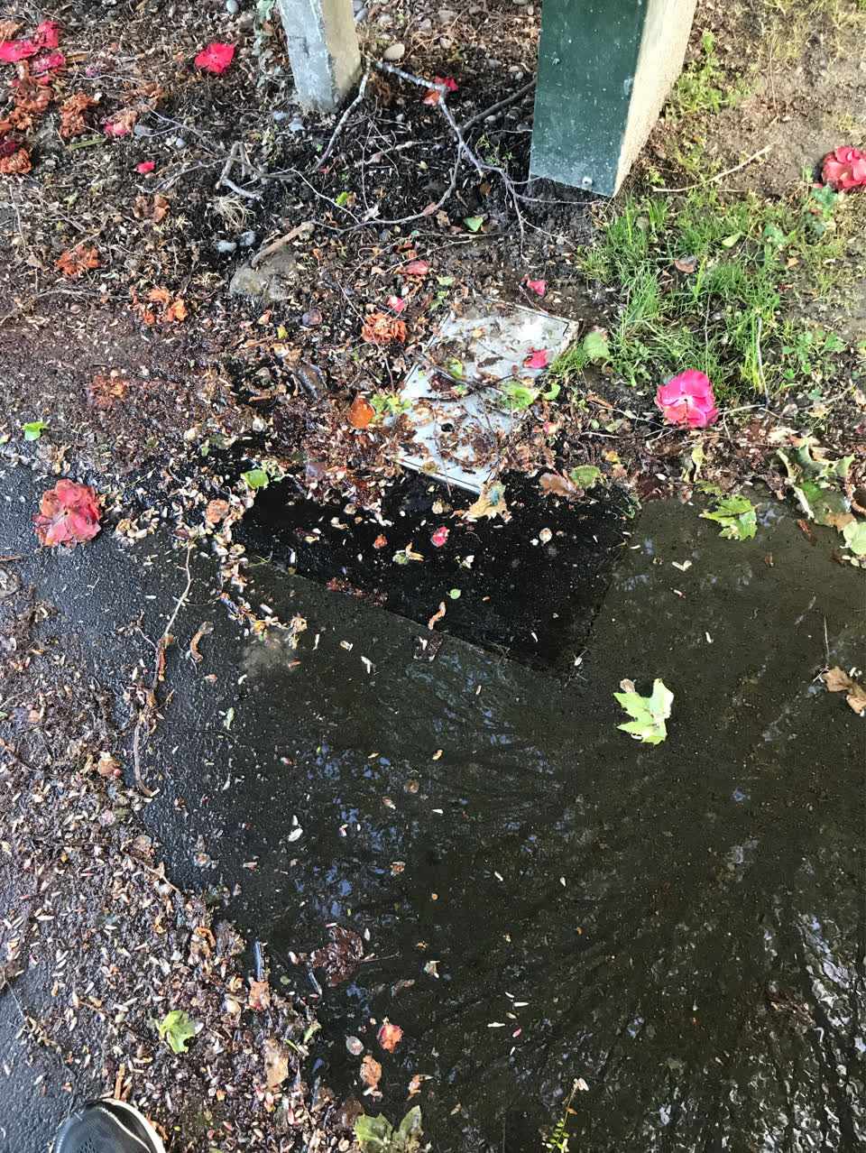 The photograph attached to this water leak report