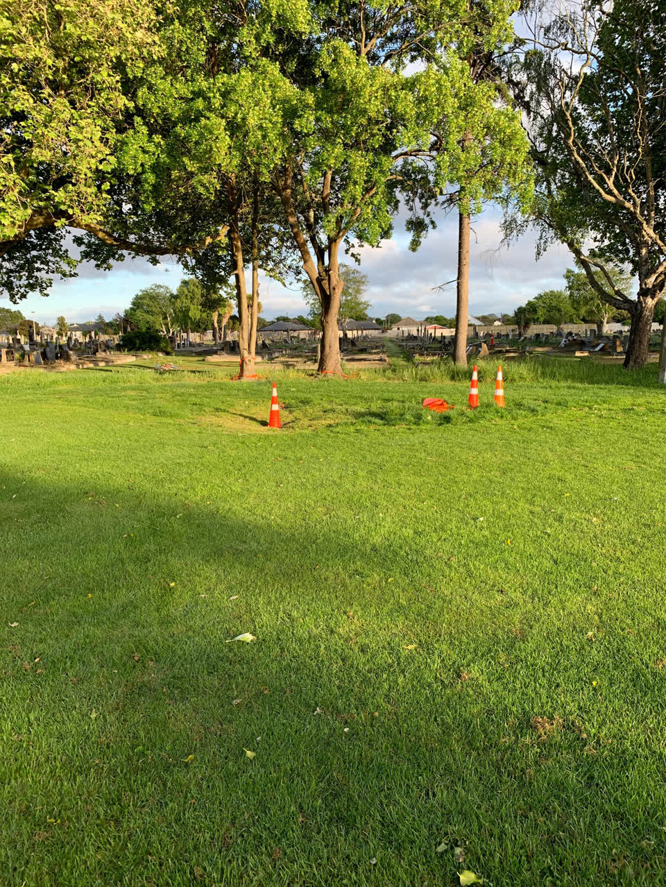 The photograph attached to this parks report