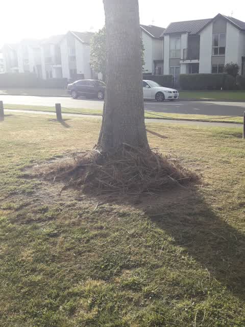 Parks, a report photo