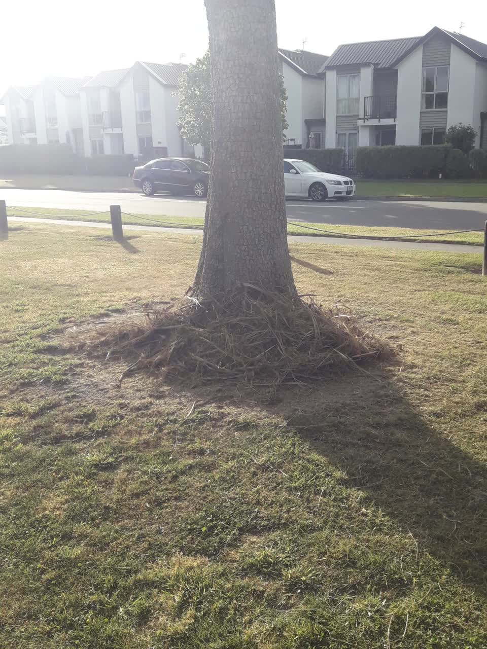 The photograph attached to this parks report