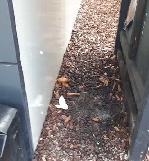Pollution - General, a report photo
