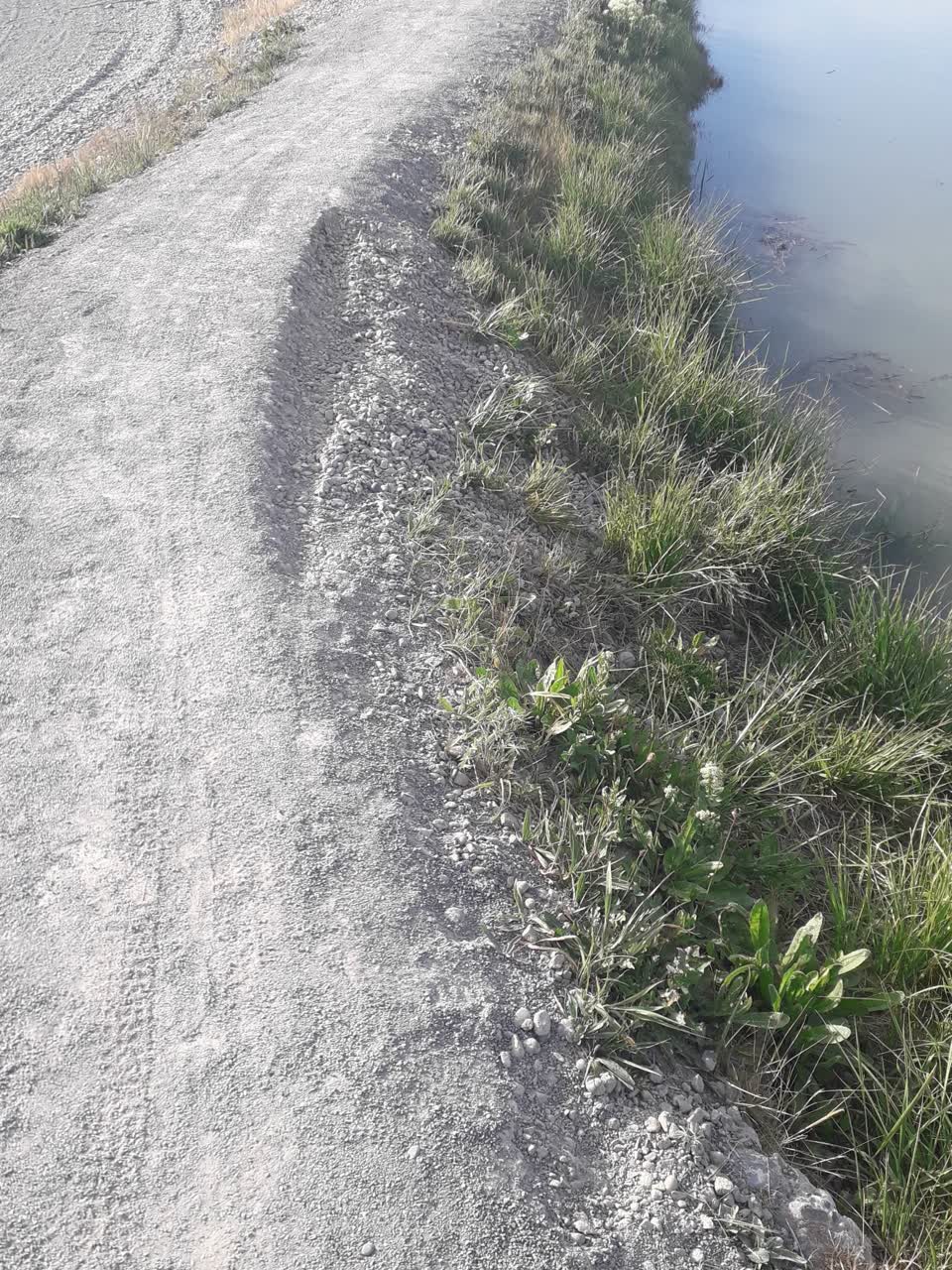 The photograph attached to this pavement - damaged report