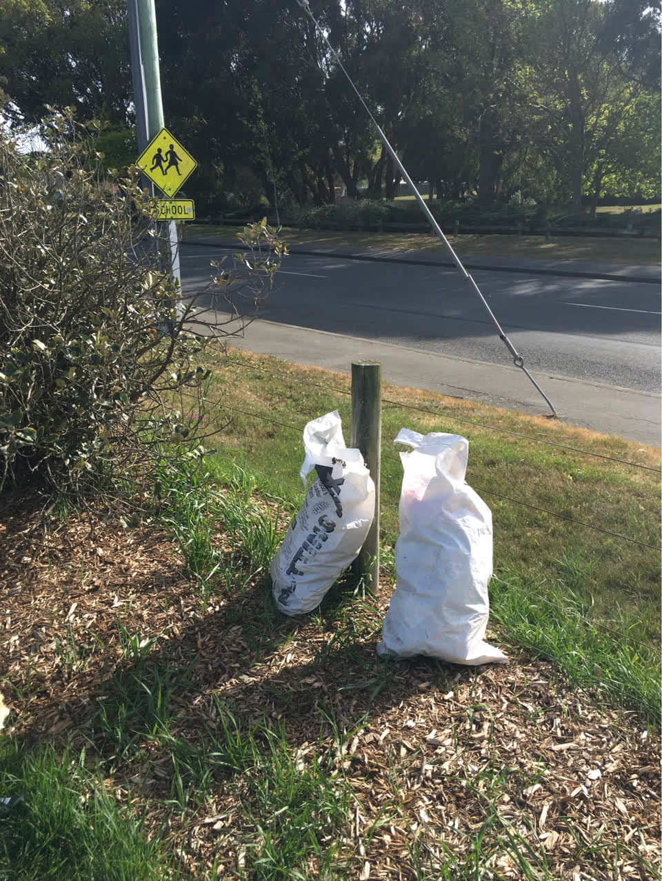 The photograph attached to this parks report