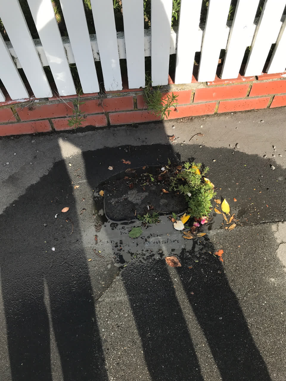 The photograph attached to this water leak report