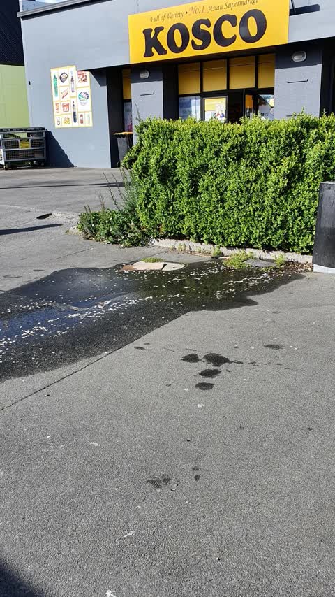 Water Leak, a report photo