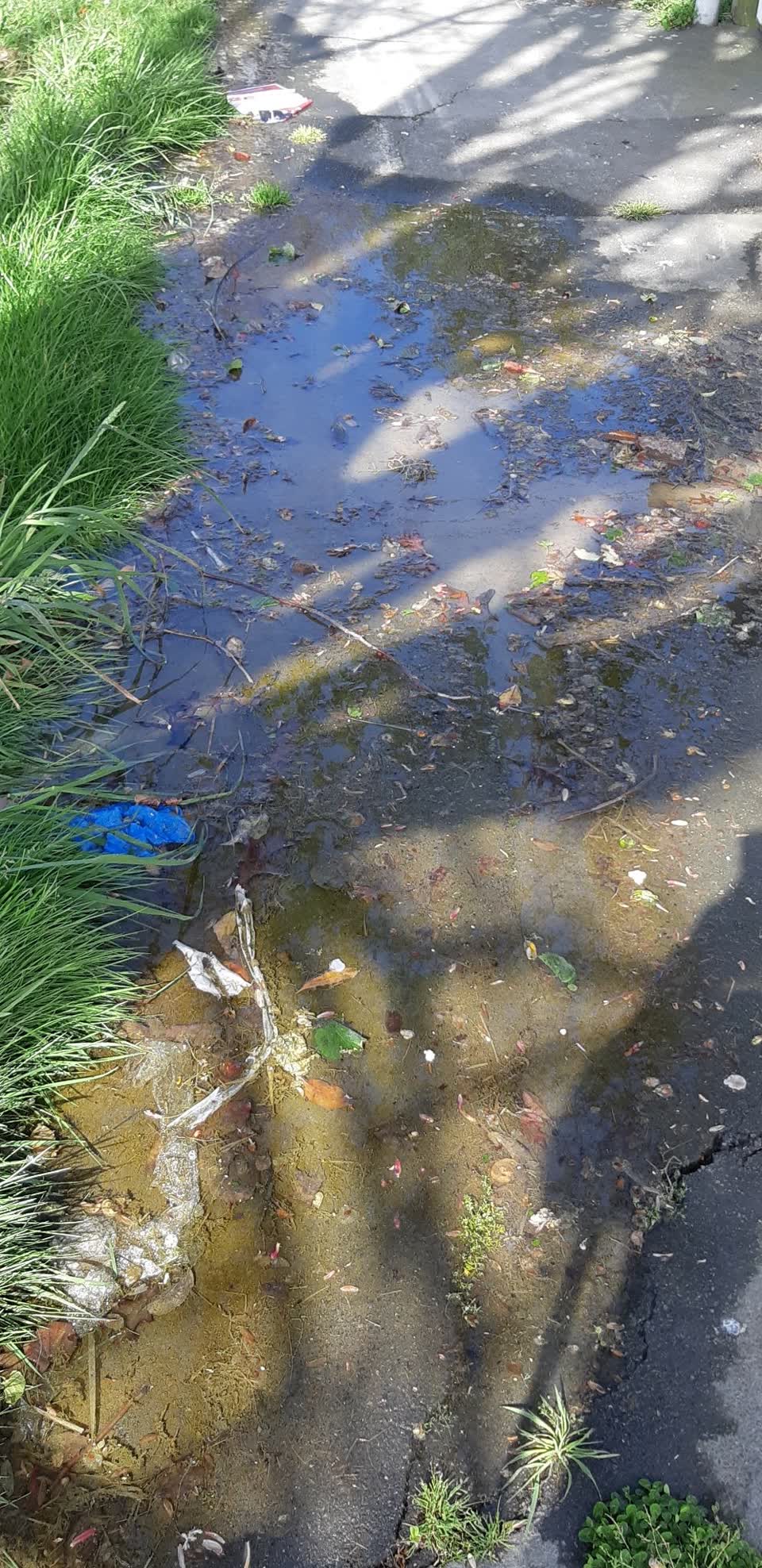 The photograph attached to this water leak report