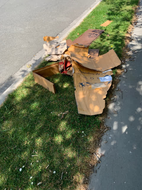 Dumped Rubbish, a report photo