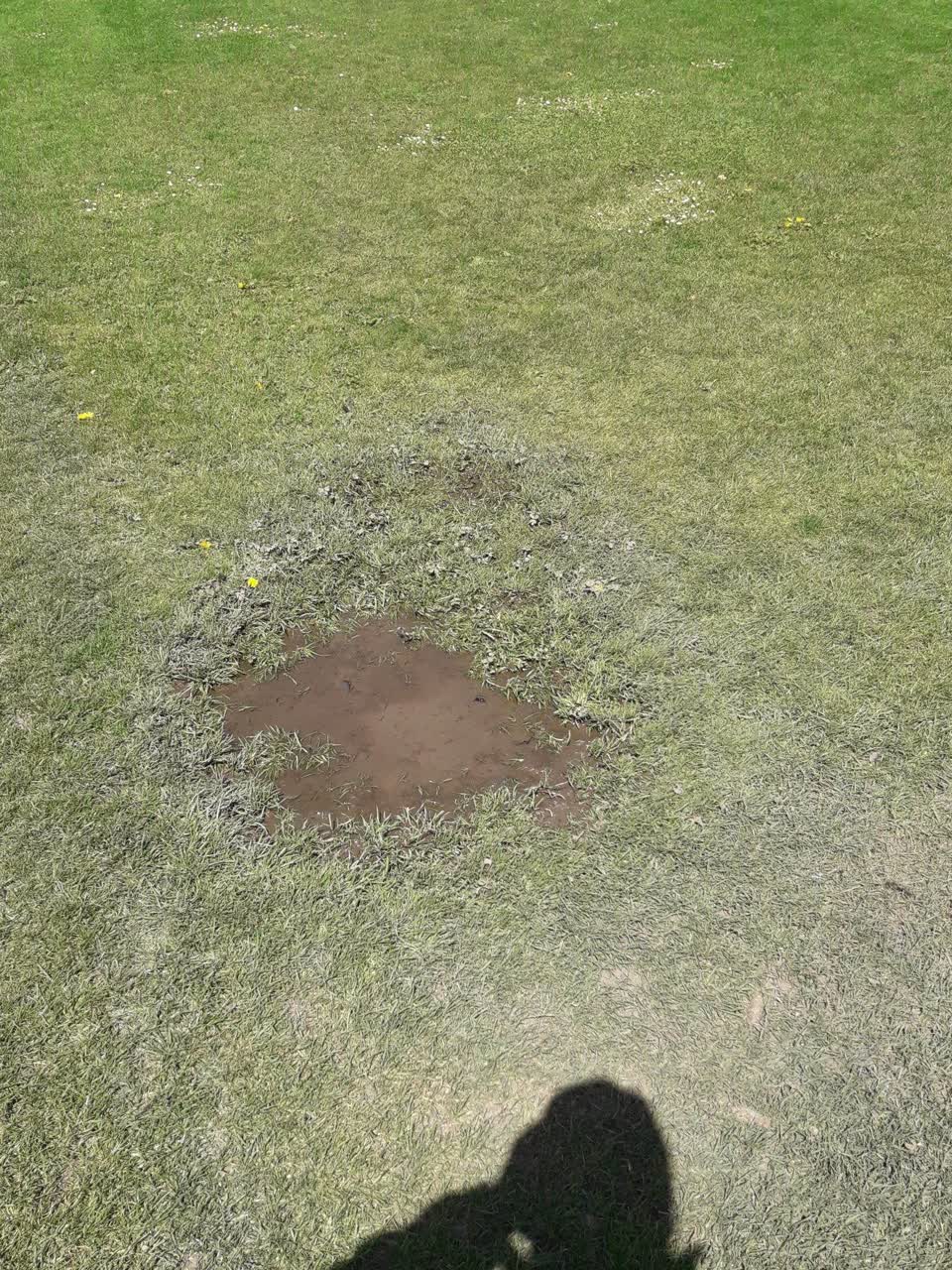 The photograph attached to this water leak report