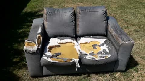 Litter, a report photo