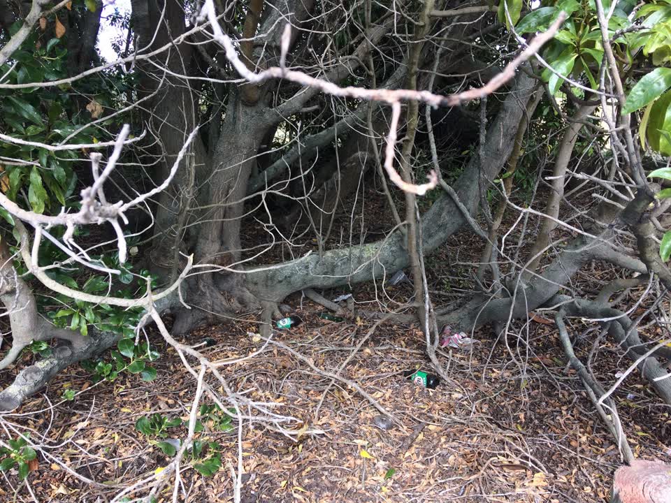 The photograph attached to this litter report