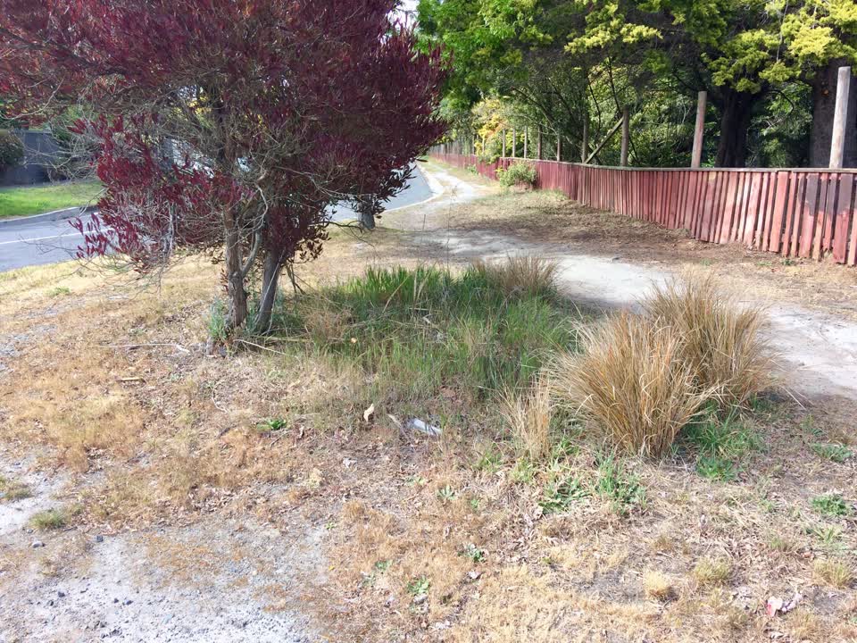The photograph attached to this overgrown vegetation report