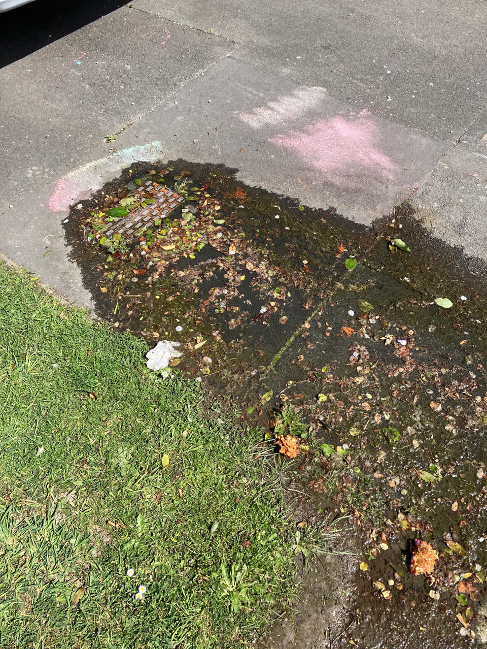 The photograph attached to this water leak report