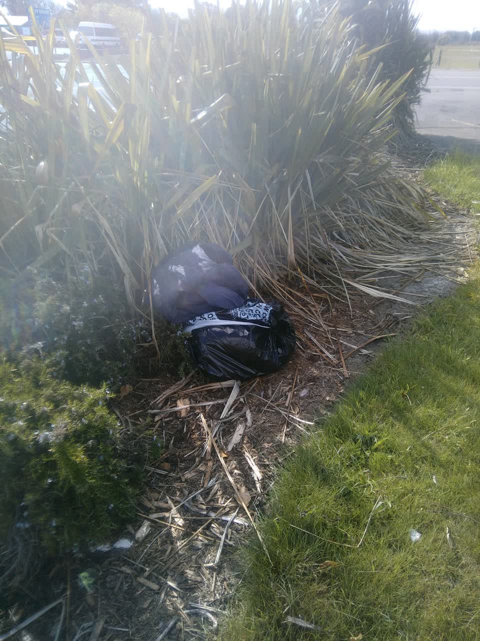The photograph attached to this dumped rubbish report