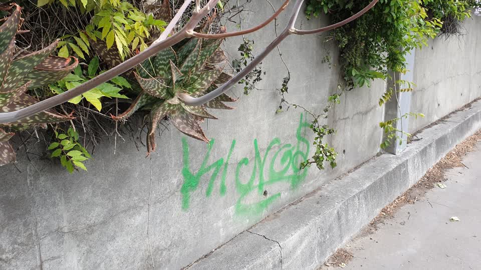 The photograph attached to this graffiti report