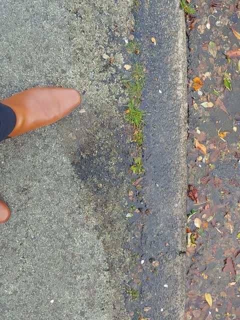 Water Leak, a report photo