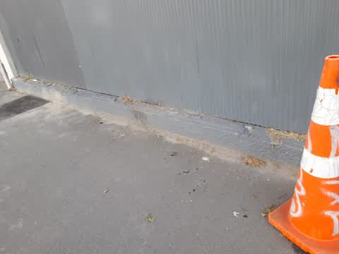 Litter, a report photo