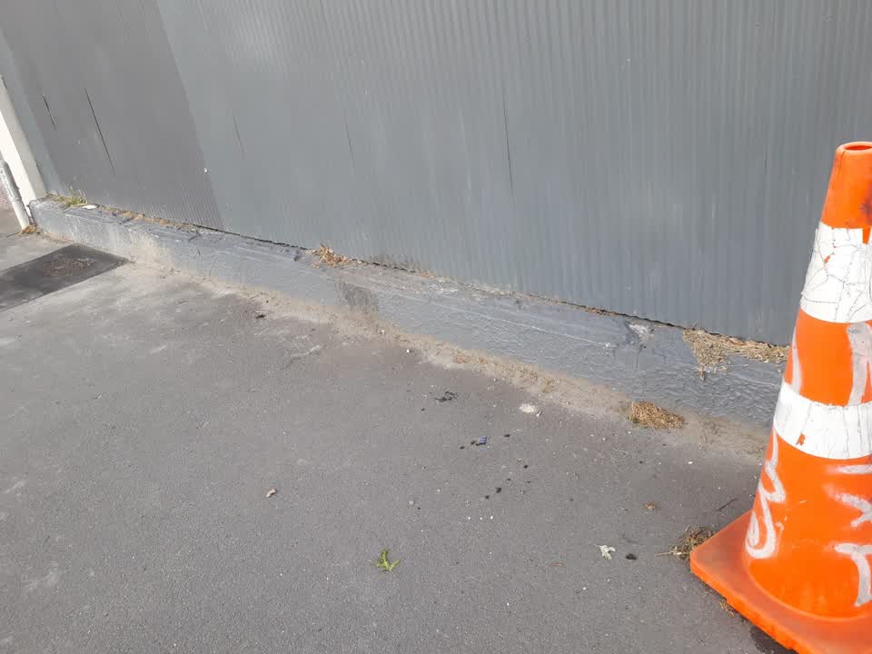 The photograph attached to this litter report