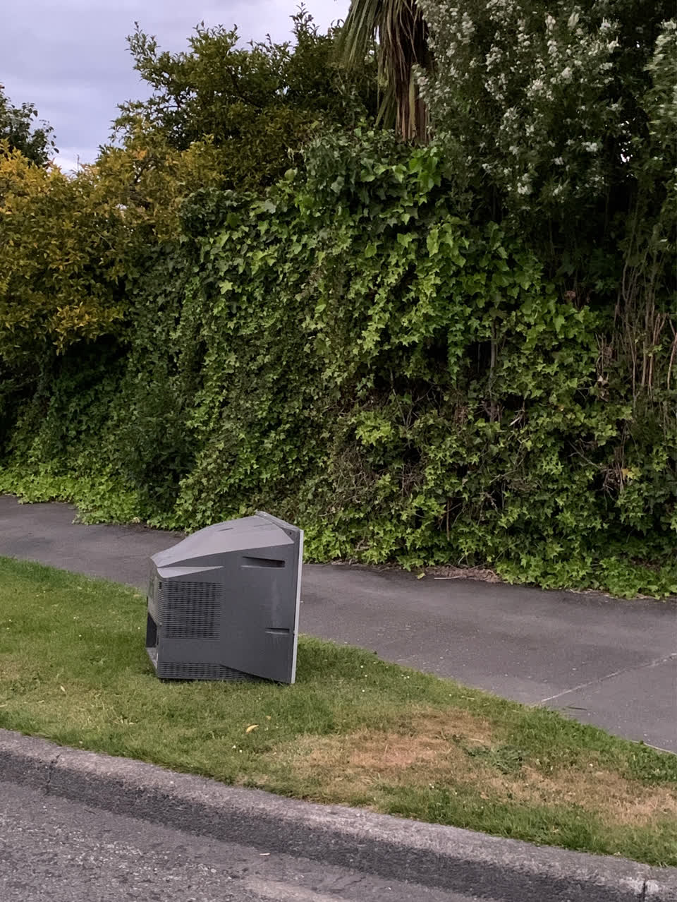 The photograph attached to this dumped rubbish report