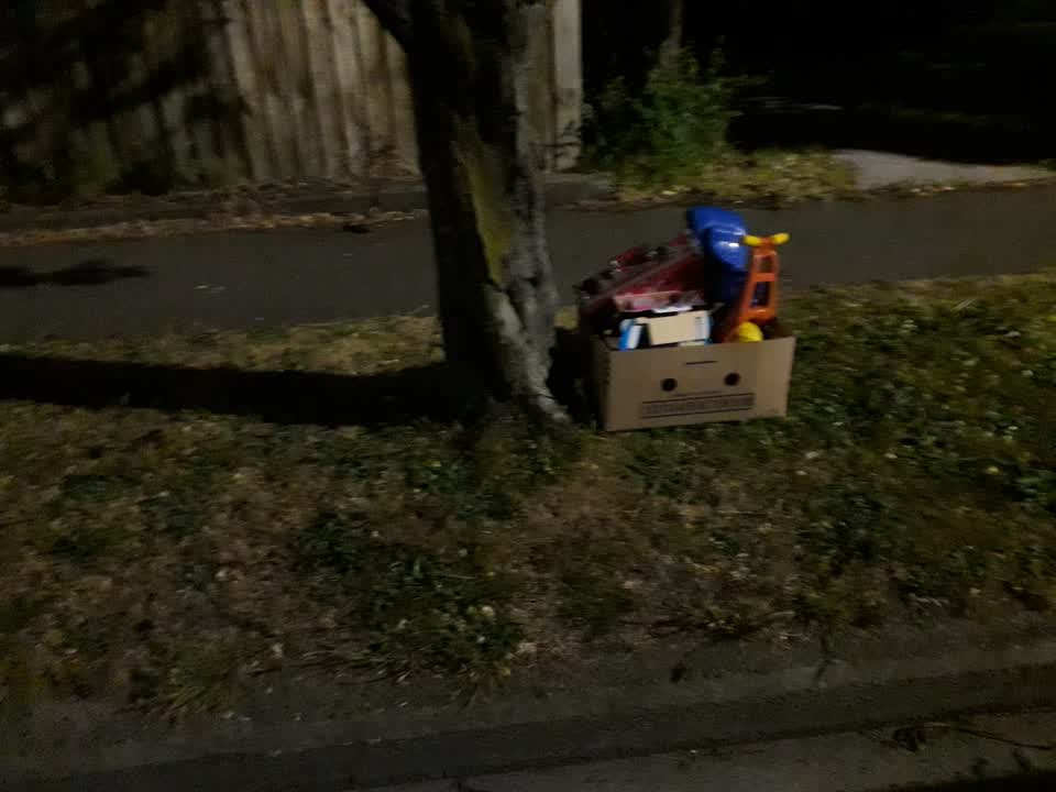 The photograph attached to this dumped rubbish report
