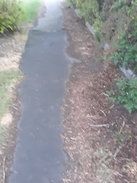 Pavement - Damaged — a report photo