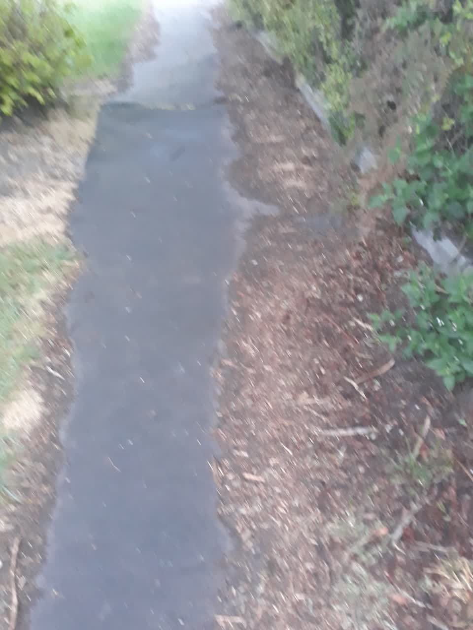 The photograph attached to this pavement - damaged report
