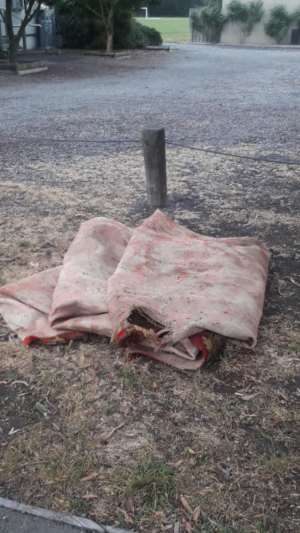 The photograph attached to this dumped rubbish report