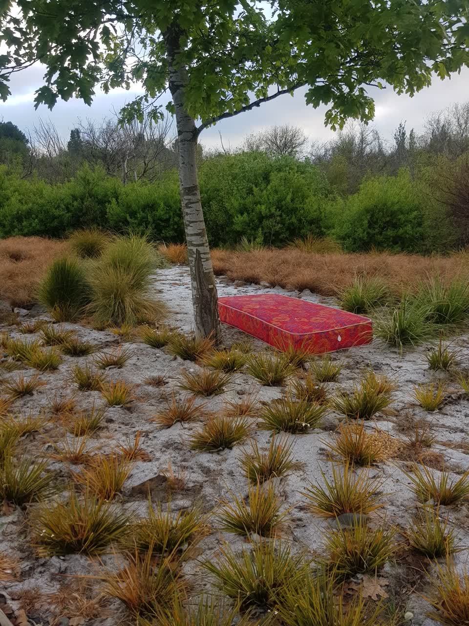 The photograph attached to this dumped rubbish report