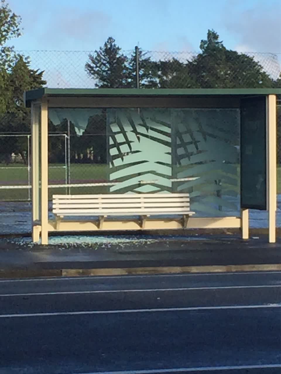 The photograph attached to this vandalism - general report